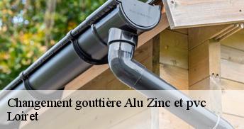 Changement gouttière Alu Zinc et pvc Loiret 