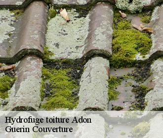 Hydrofuge toiture  adon-45230 Guerin Couverture