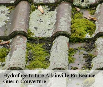 Hydrofuge toiture  allainville-en-beauce-45480 Guerin Couverture