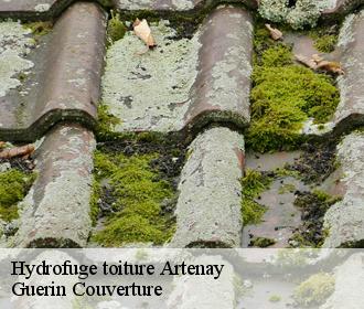 Hydrofuge toiture  artenay-45410 Guerin Couverture