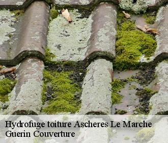 Hydrofuge toiture  ascheres-le-marche-45170 Guerin Couverture