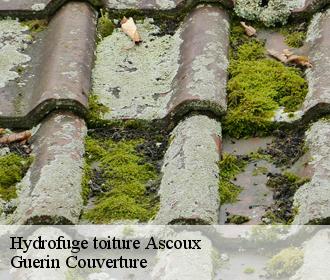 Hydrofuge toiture  ascoux-45300 Guerin Couverture