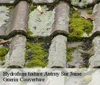 Hydrofuge toiture  autruy-sur-juine-45480 Guerin Couverture