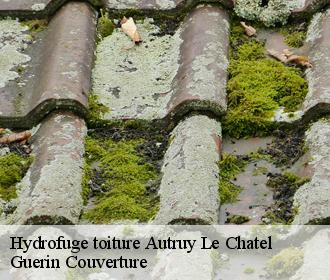 Hydrofuge toiture  autruy-le-chatel-45500 Guerin Couverture