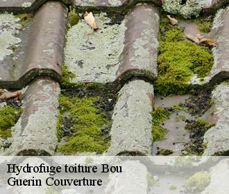 Hydrofuge toiture  bou-45430 Guerin Couverture