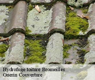 Hydrofuge toiture  bromeilles-45390 Guerin Couverture