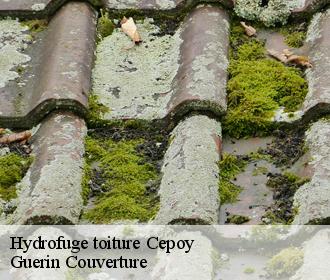 Hydrofuge toiture  cepoy-45120 Guerin Couverture