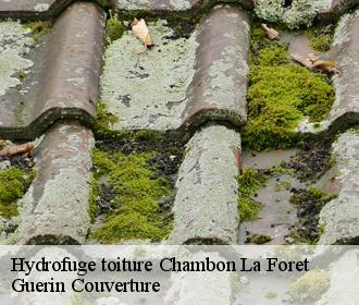 Hydrofuge toiture  chambon-la-foret-45340 Guerin Couverture