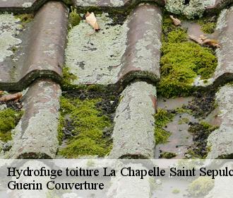 Hydrofuge toiture  la-chapelle-saint-sepulcre-45210 Guerin Couverture