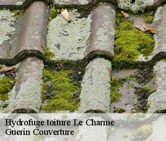 Hydrofuge toiture  le-charme-45230 Guerin Couverture