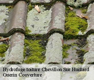 Hydrofuge toiture  chevillon-sur-huillard-45700 Guerin Couverture