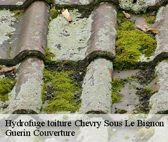 Hydrofuge toiture  chevry-sous-le-bignon-45210 Guerin Couverture