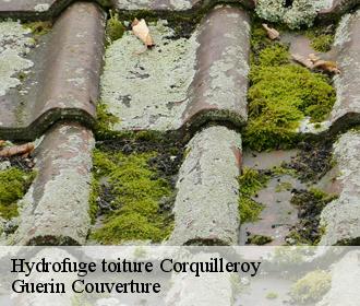 Hydrofuge toiture  corquilleroy-45120 Guerin Couverture