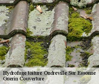 Hydrofuge toiture  ondreville-sur-essonne-45390 Guerin Couverture