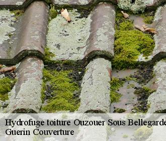 Hydrofuge toiture  ouzouer-sous-bellegarde-45270 Guerin Couverture