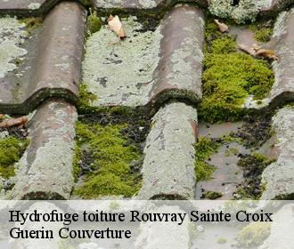 Hydrofuge toiture  rouvray-sainte-croix-45310 Guerin Couverture