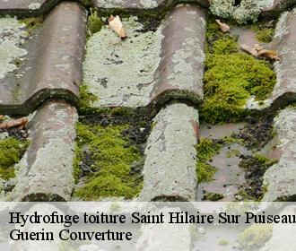 Hydrofuge toiture  saint-hilaire-sur-puiseaux-45700 Guerin Couverture