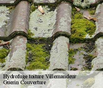 Hydrofuge toiture  villemandeur-45700 Guerin Couverture