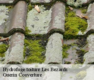 Hydrofuge toiture  les-bezards-45290 Guerin Couverture