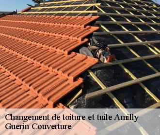 Changement de toiture et tuile  amilly-45200 Guerin Couverture