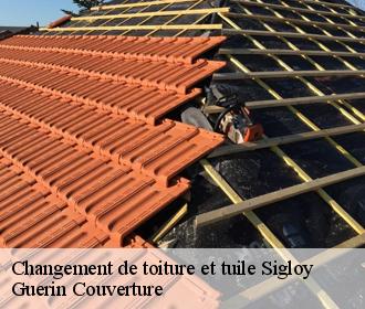 Changement de toiture et tuile  sigloy-45110 Guerin Couverture