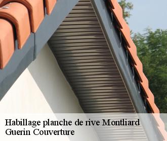 Habillage planche de rive  montliard-45340 Guerin Couverture