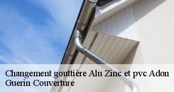 Changement gouttière Alu Zinc et pvc  45230