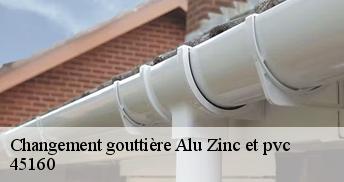 Changement gouttière Alu Zinc et pvc  45160