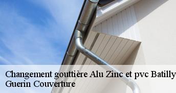 Changement gouttière Alu Zinc et pvc  45420