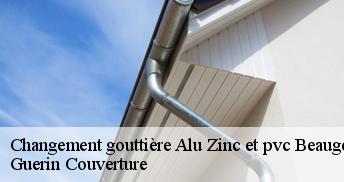 Changement gouttière Alu Zinc et pvc  45190