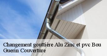 Changement gouttière Alu Zinc et pvc  45430