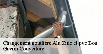 Changement gouttière Alu Zinc et pvc