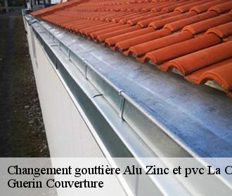 Changement gouttière Alu Zinc et pvc  la-chapelle-onzerain-45310 Guerin Couverture