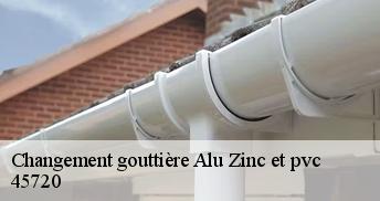 Changement gouttière Alu Zinc et pvc  45720