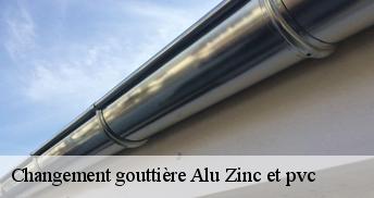 Changement gouttière Alu Zinc et pvc