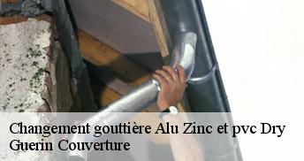 Changement gouttière Alu Zinc et pvc