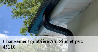 Changement gouttière Alu Zinc et pvc