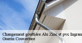 Changement gouttière Alu Zinc et pvc  45450