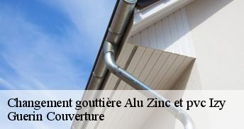 Changement gouttière Alu Zinc et pvc  45480