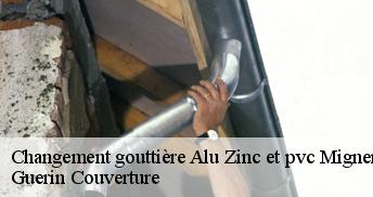 Changement gouttière Alu Zinc et pvc