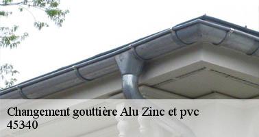 Changement gouttière Alu Zinc et pvc  45340