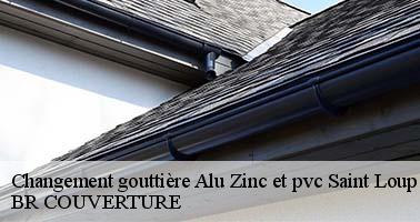 Changement gouttière Alu Zinc et pvc  45340