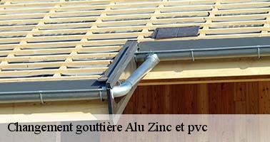 Changement gouttière Alu Zinc et pvc  45340