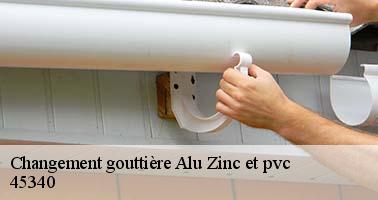 Changement gouttière Alu Zinc et pvc