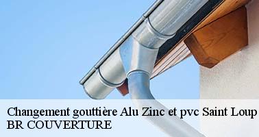 Changement gouttière Alu Zinc et pvc