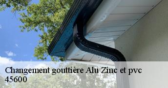 Changement gouttière Alu Zinc et pvc