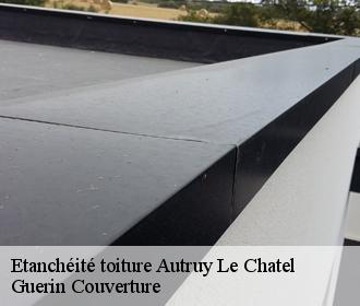 Etanchéité toiture  autruy-le-chatel-45500 Guerin Couverture