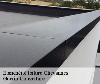 Etanchéité toiture  chevannes-45210 Guerin Couverture