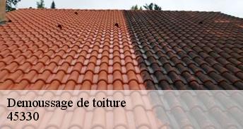 Demoussage de toiture  45330