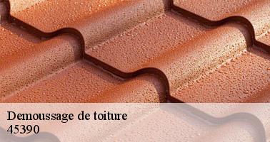 Demoussage de toiture  45390